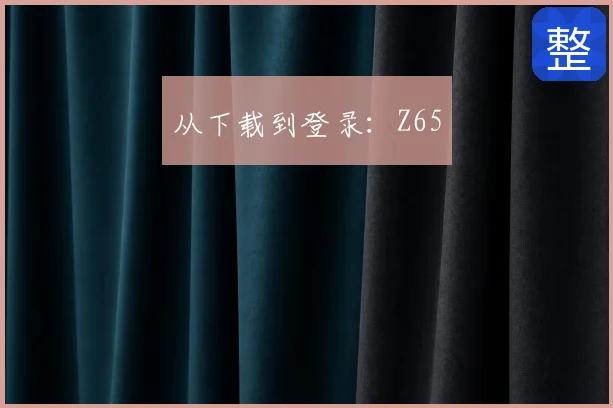 从下载到登录:Z65