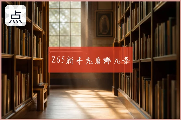 Z65新手先看哪几条